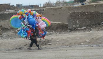 IMG 0719 resize