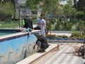 IMG 1234 resize