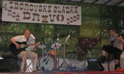 Zborovské sladké drevo 2006