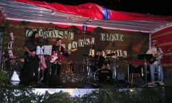 Zborovské sladké drevo 2005
