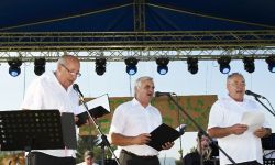 10.ročník festivalu ZSD