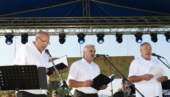 Zborovsk   sladk   drevo 2012  28.7.2012  2 