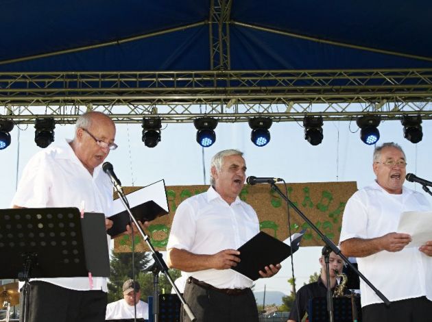 Zborovsk   sladk   drevo 2012  28.7.2012  2 