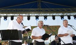 Zborovské sladké drevo 2012