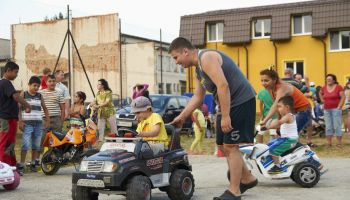 Zborovsk   sladk   drevo 2013  27.7.2013   86
