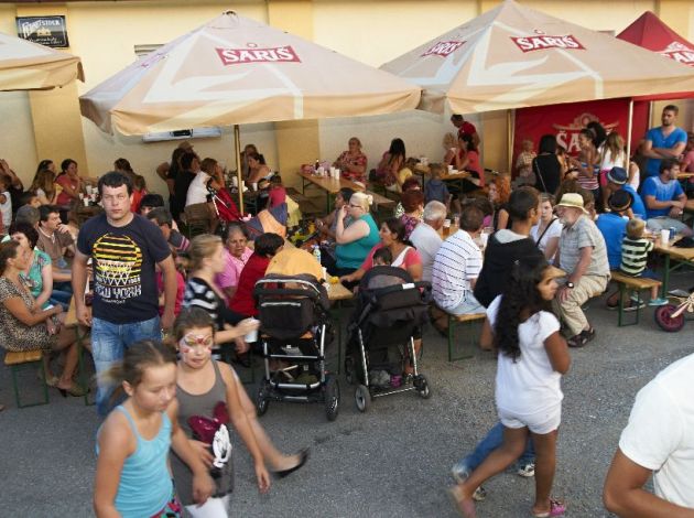 Zborovsk   sladk   drevo 2014   189