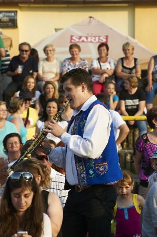 Zborovsk   sladk   drevo 2014   103