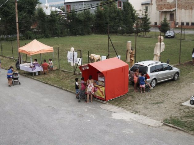 Zborovsk   sladk   drevo 2015   53