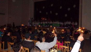 17 DSC01909