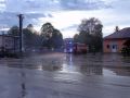 11 DSC02913