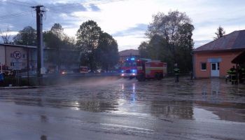 11 DSC02913