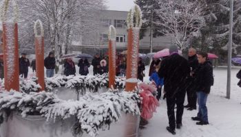 04 DSC04499