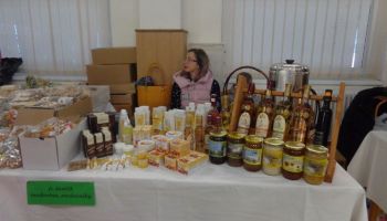 15 DSC04536