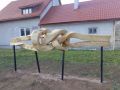 25 DSC08170