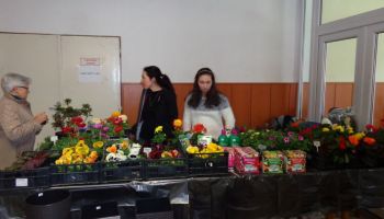 24 DSC09657
