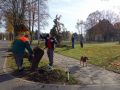 06 DSC08009
